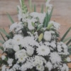 Centro Funerario Blanco Especial